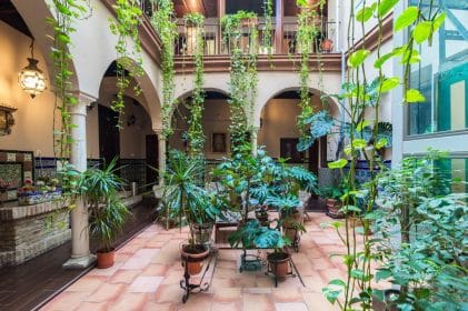 Hotel Patio de las Cruces